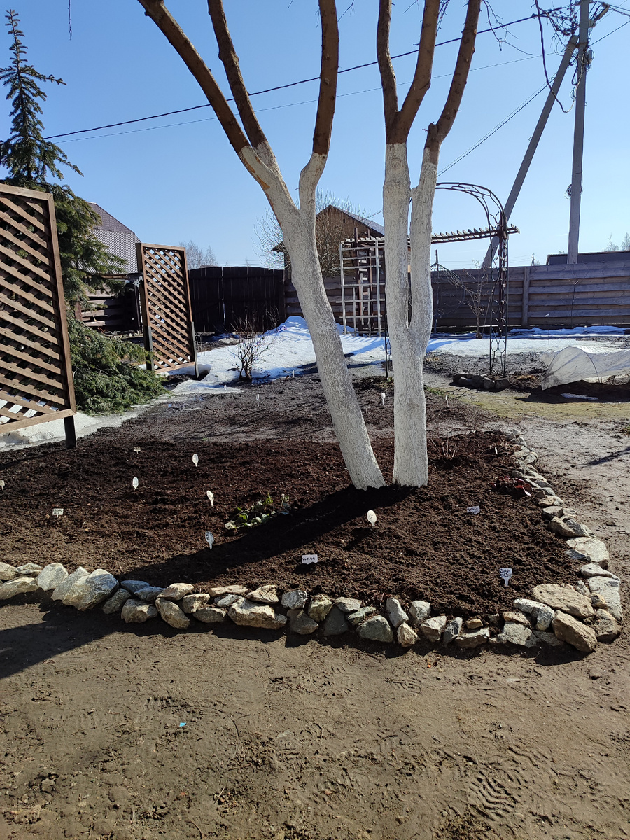 Зимой побелка так ярко не смотрелась, как хорошо она сохранилась. Самая простая, тестом покупала.