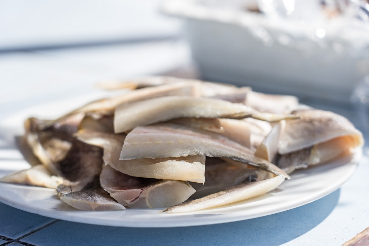 Фото: Александр Плонский / «ВиЖ»