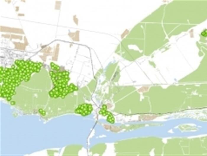    ФОТО: администрация Тольятти