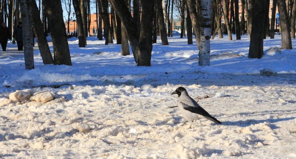    медиасток.рф