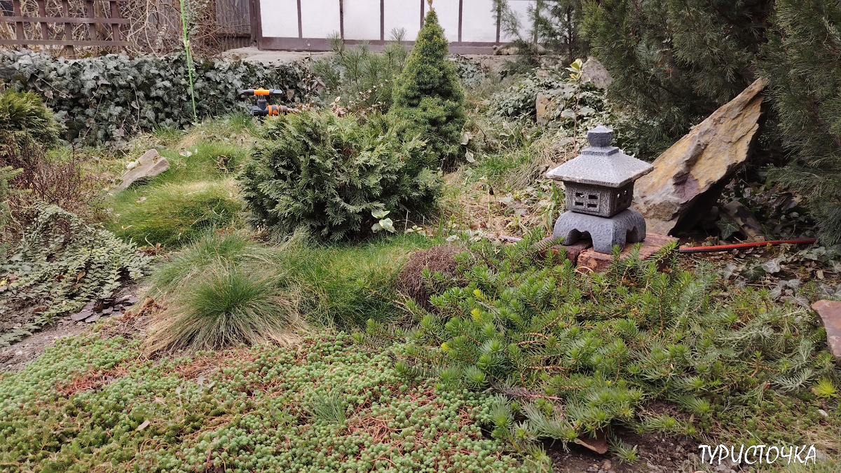 Мой японский садик (фрагмент)