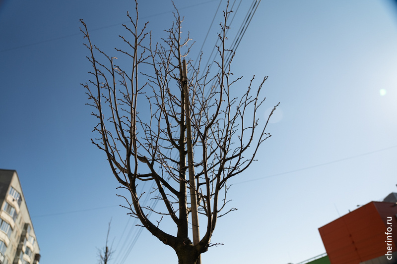    Водопровод отремонтируют около дома на Наседкина, 12 со стороны дороги.