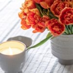    Фото: https://ru.freepik.com