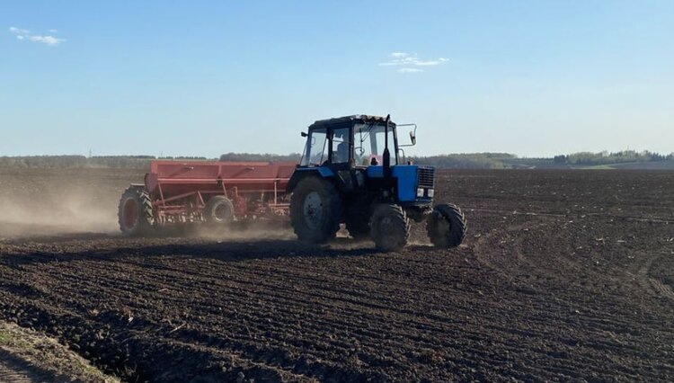    Фото: Минсельхоз Чувашской Республики