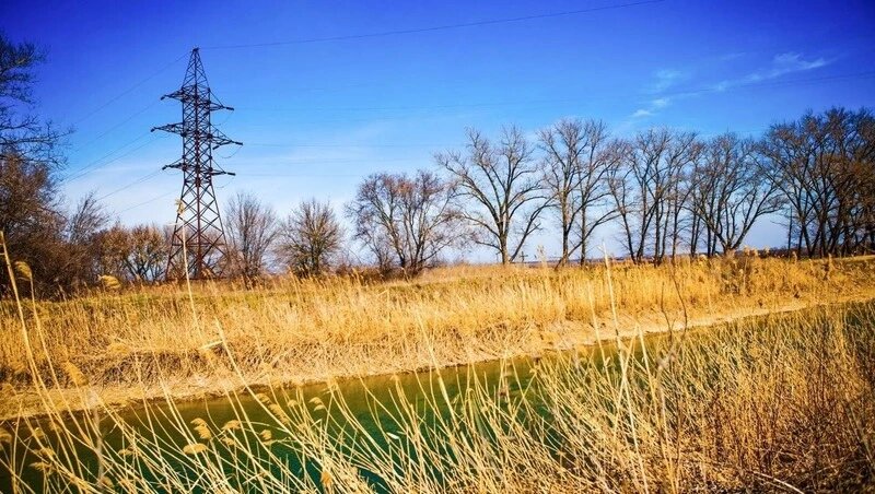      Фото: Пресс-служба ПАО «Россети»