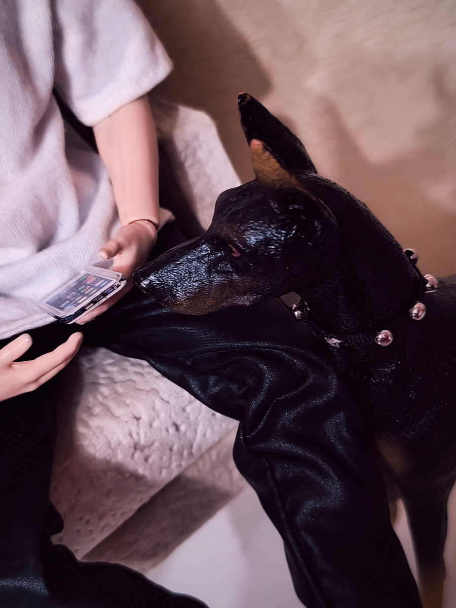 Гаф!!! Кто там звонит?