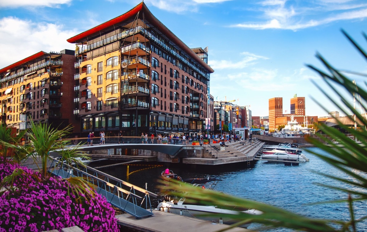 Источник: Volkova Olena-358 / Shutterstock / FOTODOM