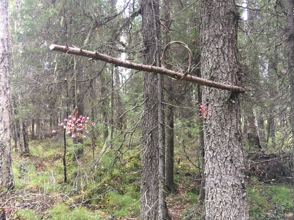 Вот такая вот инсталляция.