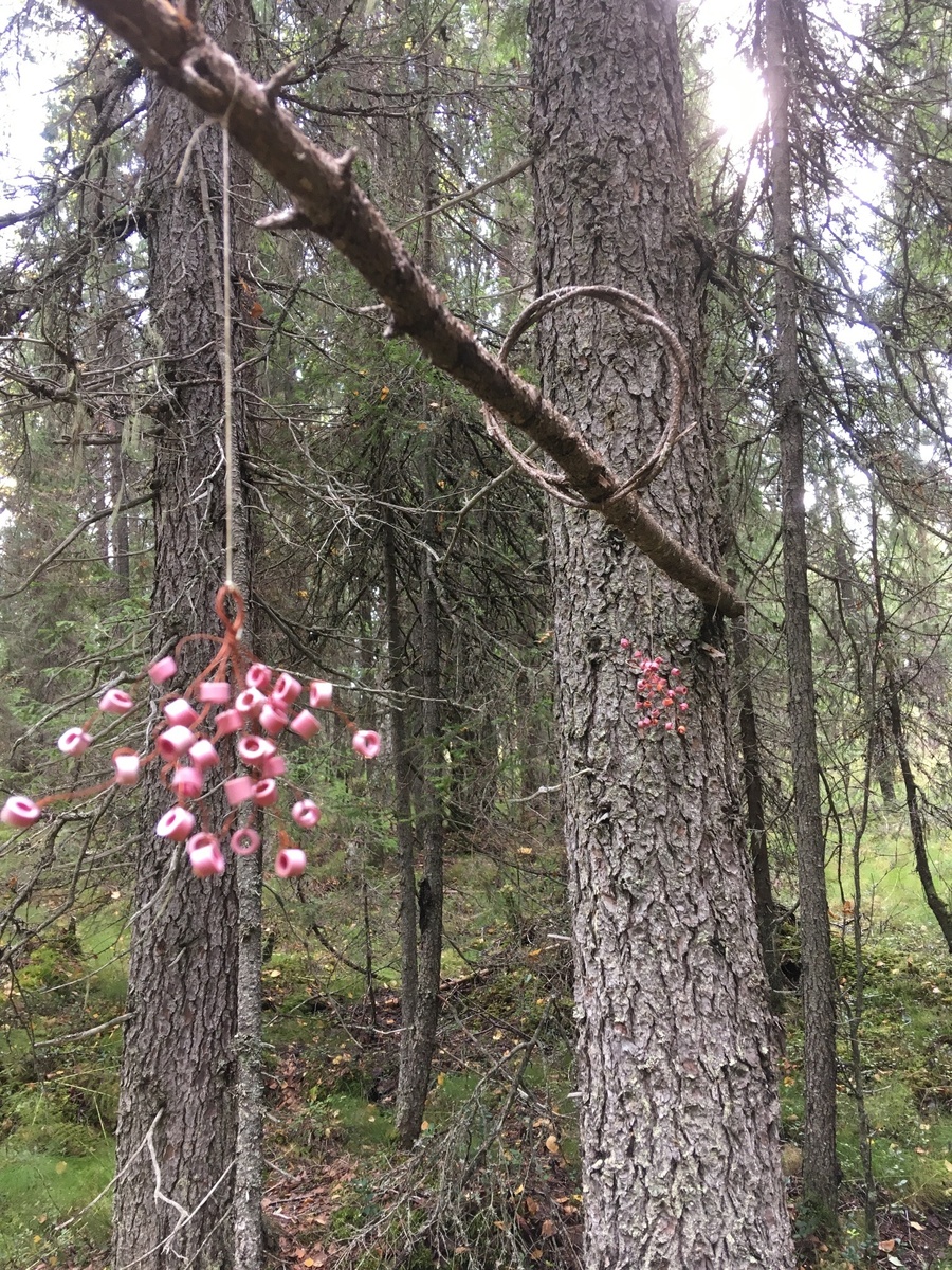Издалека не отличить от настоящих ягод