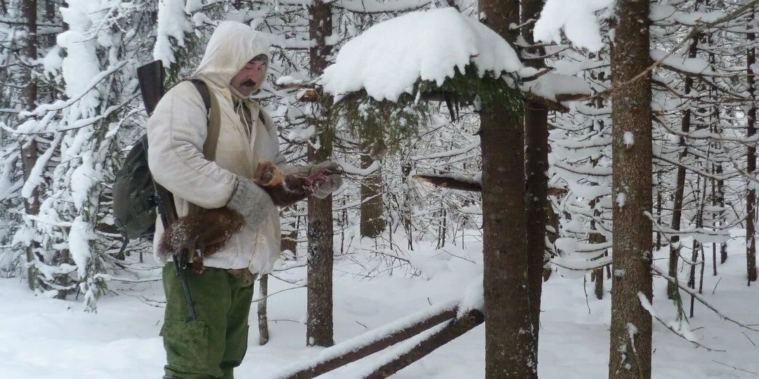 Чёрный волк