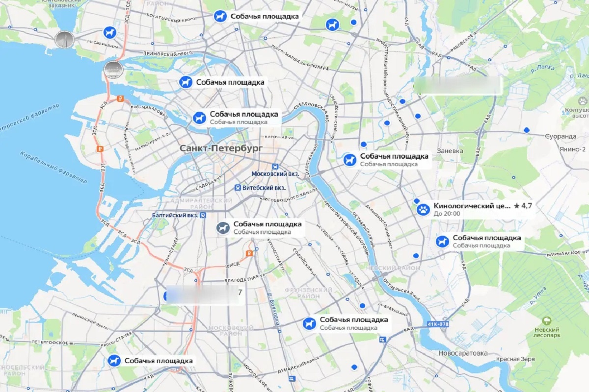    Фото: скриншот сервиса «Яндекс Карты»