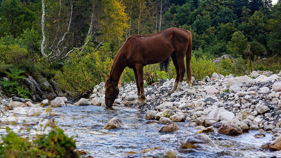 Фото: Оксана Зуйко / Коммерсантъ