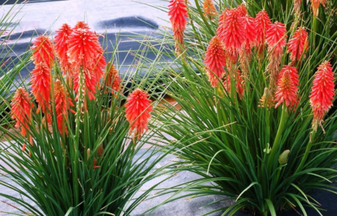 Бывают разные 