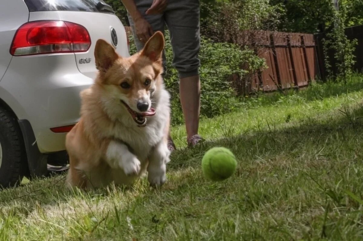    Отдохнуть не получится: волгоградцев ждут рекордно короткие майские