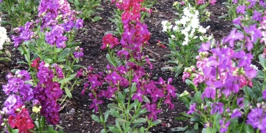 Решила вес больше не снижать