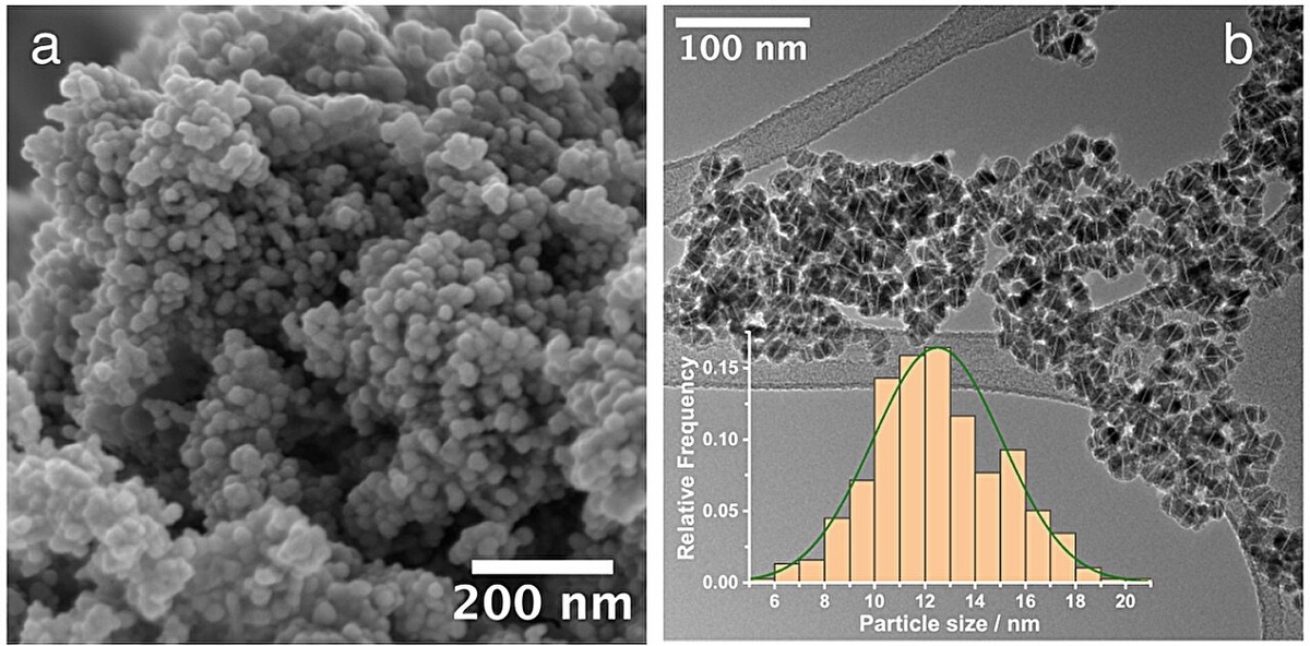 (a) Изображение, полученное с помощью сканирующего электронного микроскопа, (b) изображение, полученное с помощью просвечивающего электронного микроскопа при малом увеличении, синтезированного катализатора Ni@C с распределением размеров частиц (на графике).    
 Источник: Proceedings of the National Academy of Sciences (2026). DOI: 10.1073/pnas.2534305123  📷
