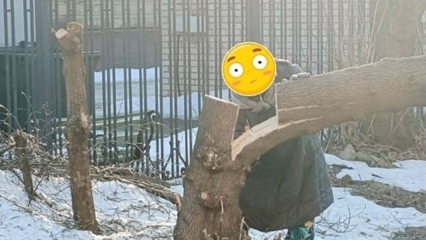    Жесть Ярославль