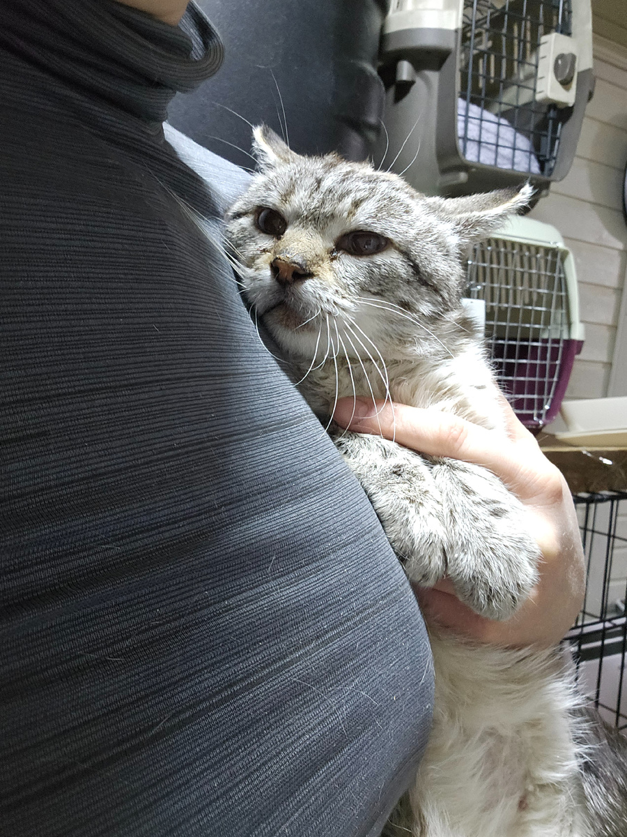 Фото автора. Помогите жить нашим приютским  ребятам.