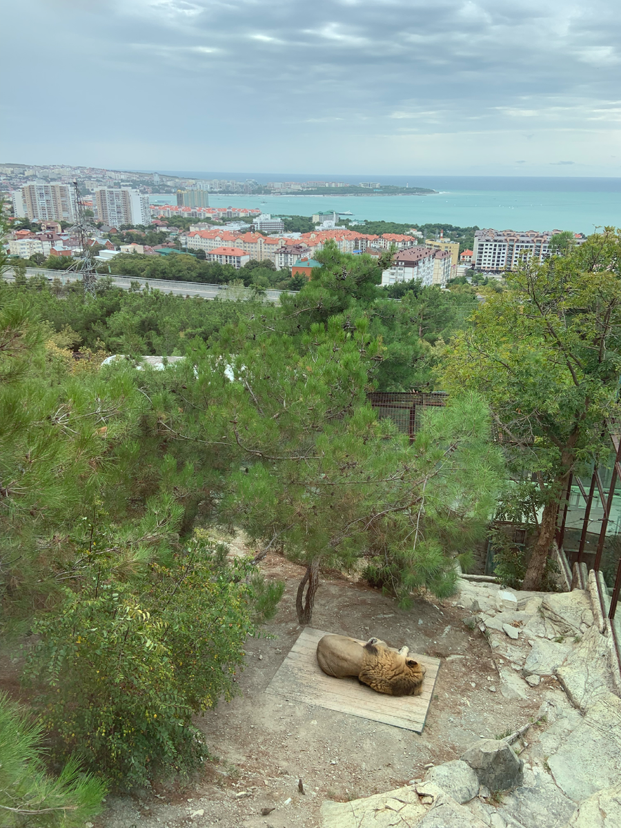 Сафари парк Геленджик