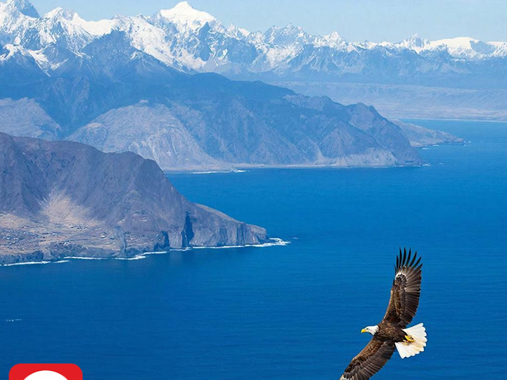 Чили — это единственное место на земле, где виноград растёт в «раю»