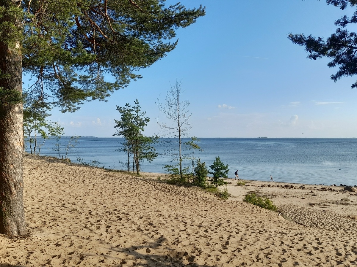 Берег Финского залива 