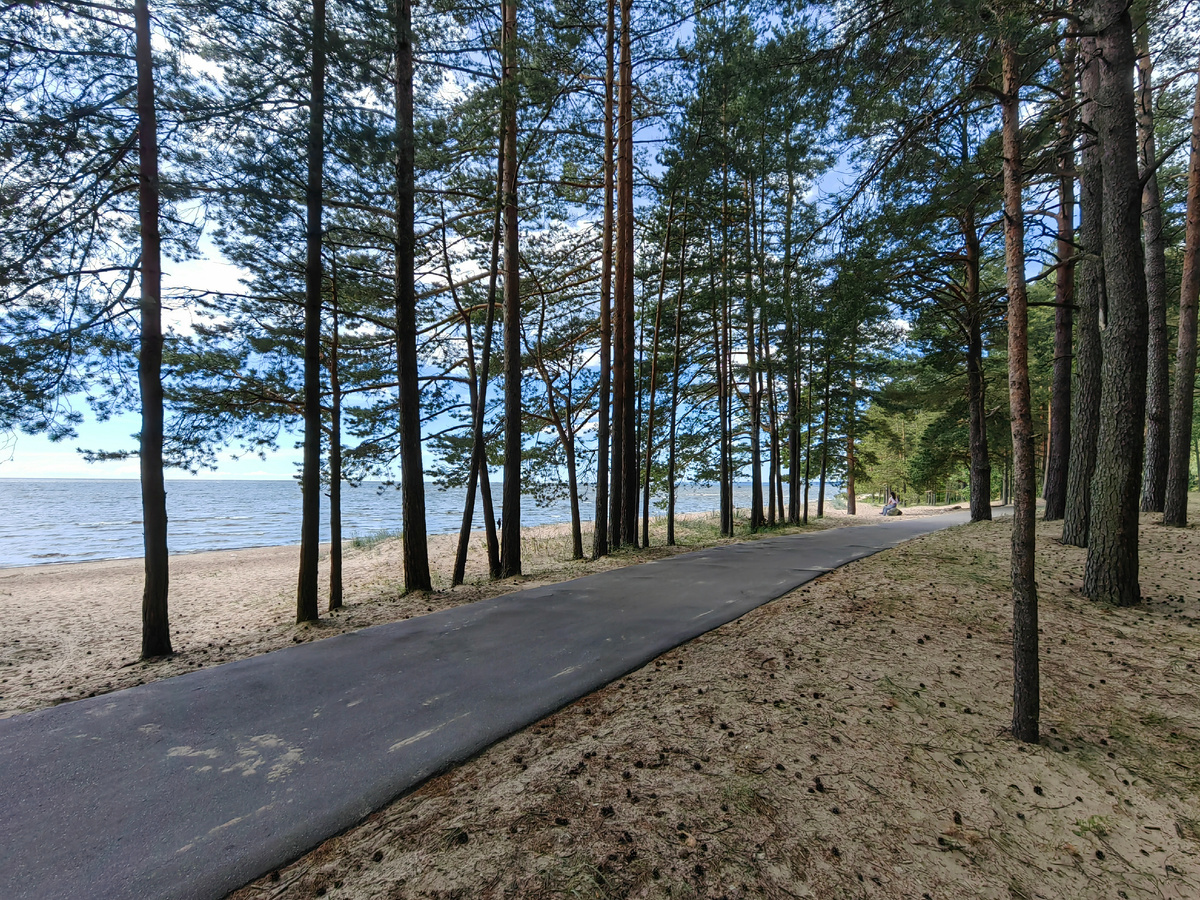 Велодорожка вдоль побережья 