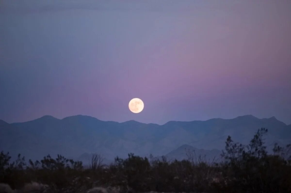    Жители Тверской области смогут наблюдать Розовую луну