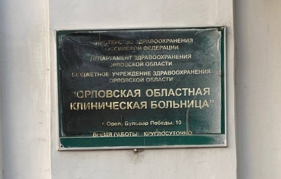    Фото: ИА "Орелград" / Светлана Числова