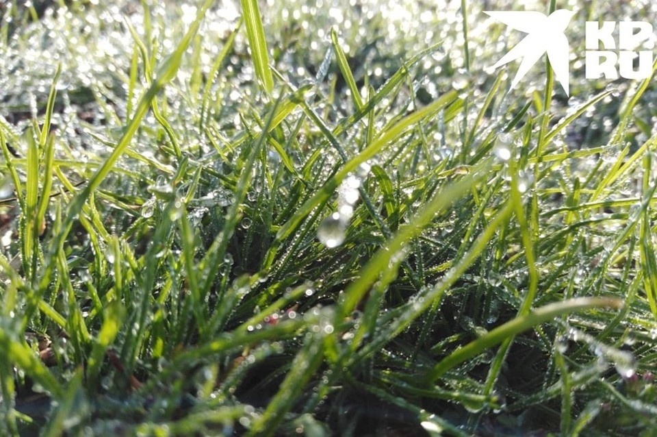    Небольшие дожди пройдут в Белгородской области 27 марта Наталия ИЛЮШНИКОВА