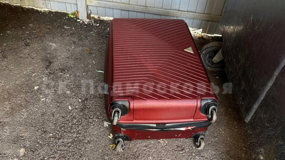 Фото: © t.me/СК Подмосковья