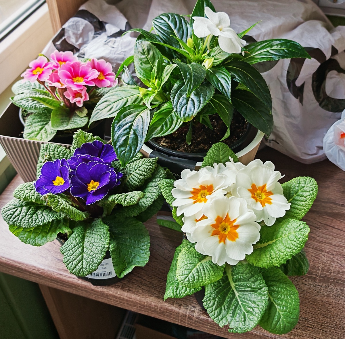 Фото автора 