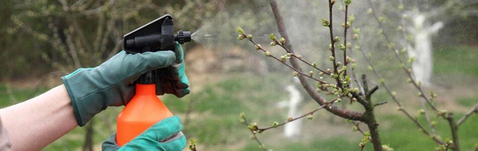 Фото: Газета Вологодского округа "Маяк"