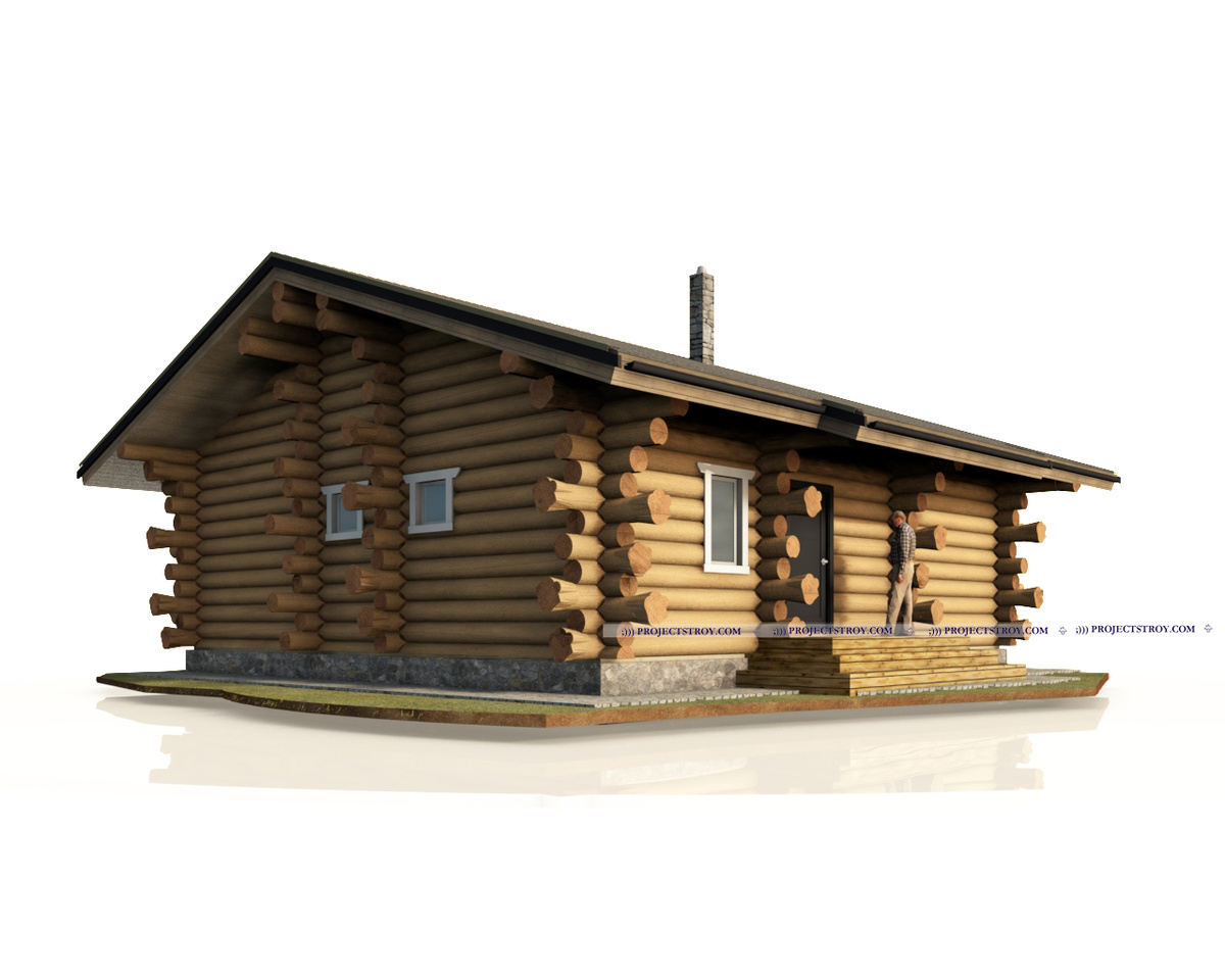 дом из бревна