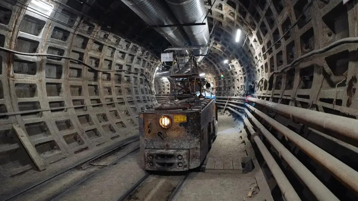    Фото: max.ru/id7810904590_biz