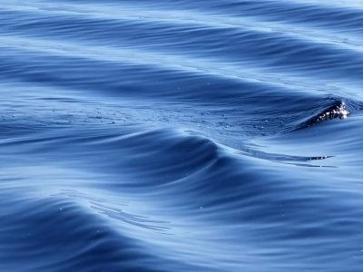    Фото: ГТРК Карелия