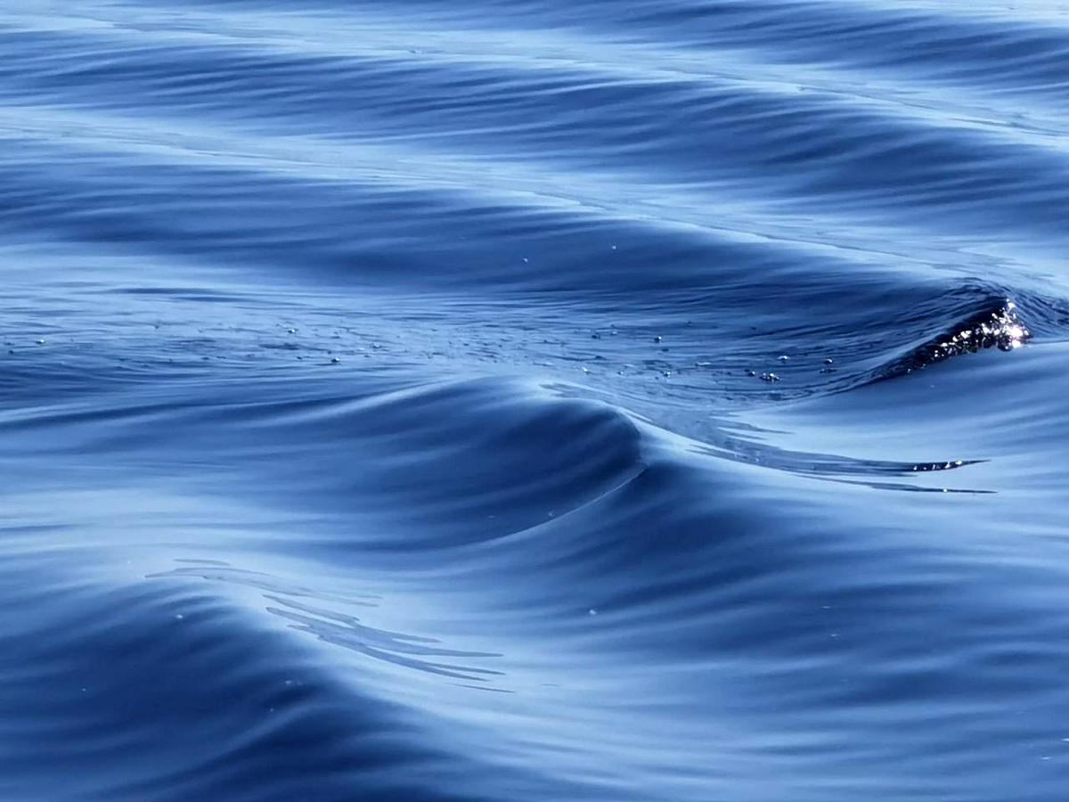    Фото: ГТРК Карелия