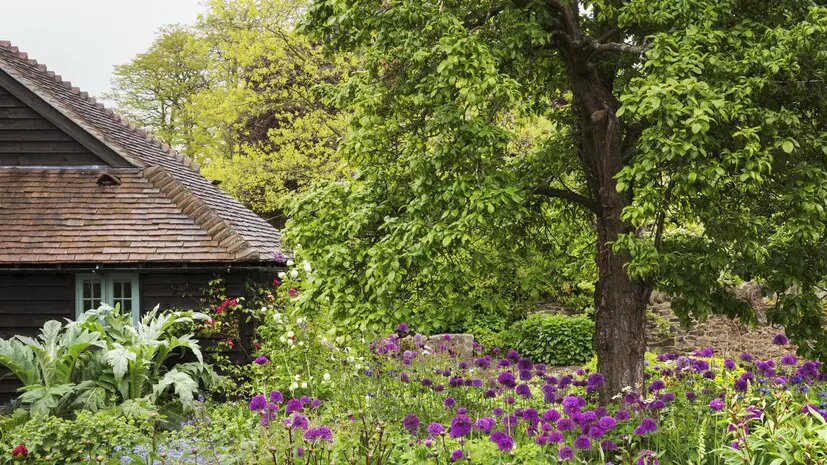    Источник: russian.rt.com Татьяна