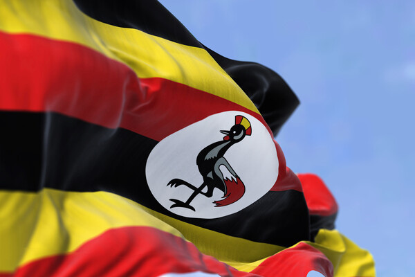 rarrarorro/Shutterstock/FOTODOM   📷