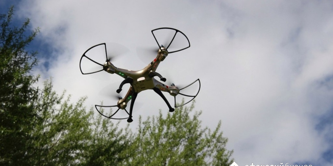 В Тверской области начали масштабное обследование полей и лесов