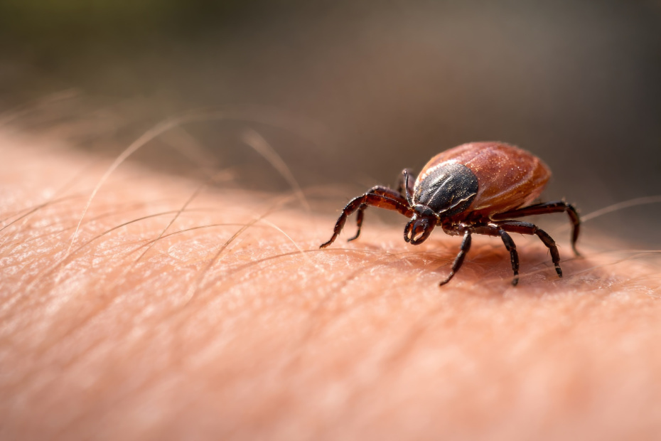    Создано ИИ/NEWS.ru