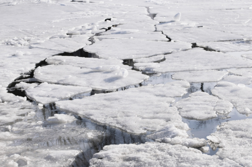 Фото: Shutterstock/FOTODOM