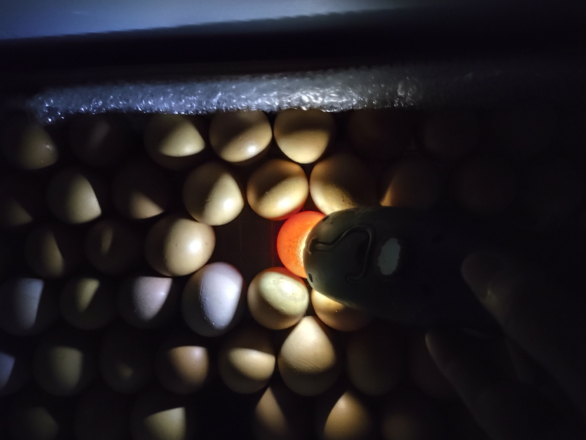 Проверка с помощью фонарика