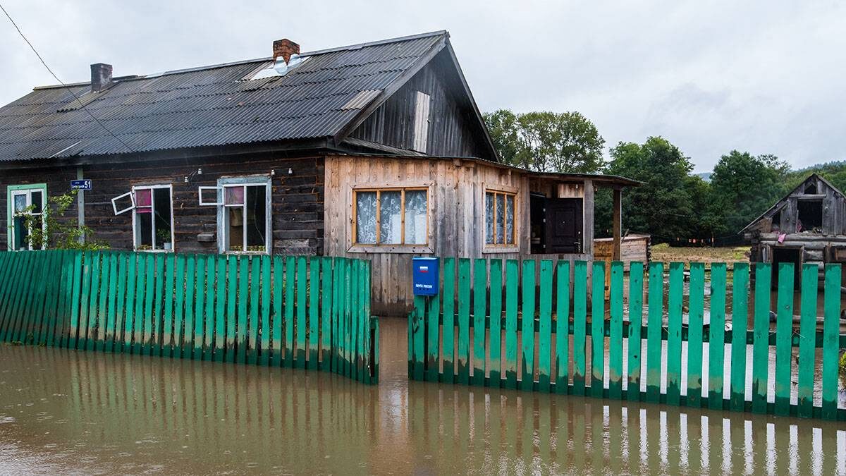    Фото: Shutterstock