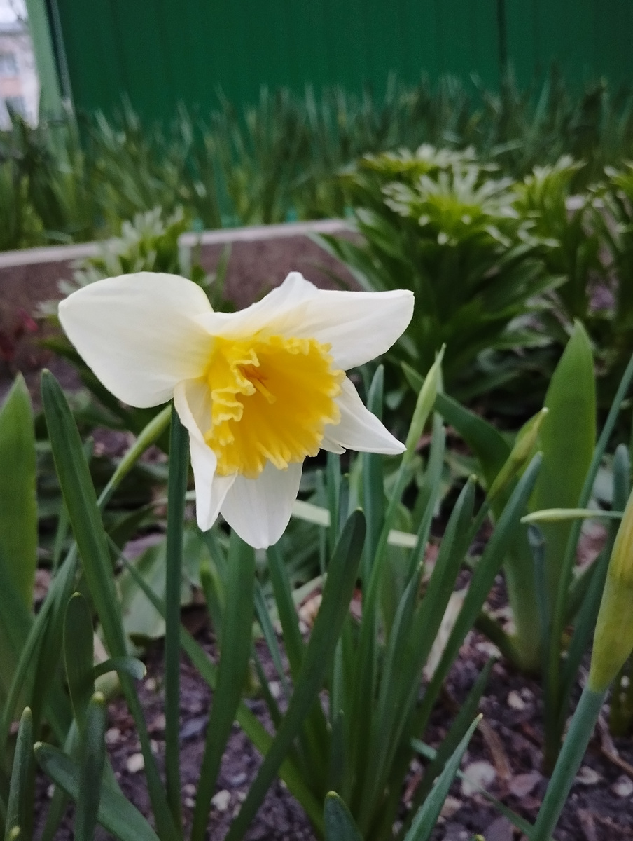 Сегодняшний