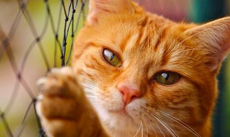 Теория добра