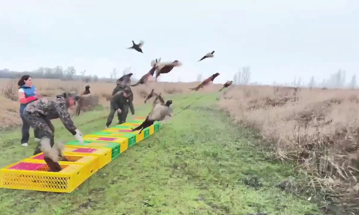    Фото пресс-службы минприроды Краснодарского края