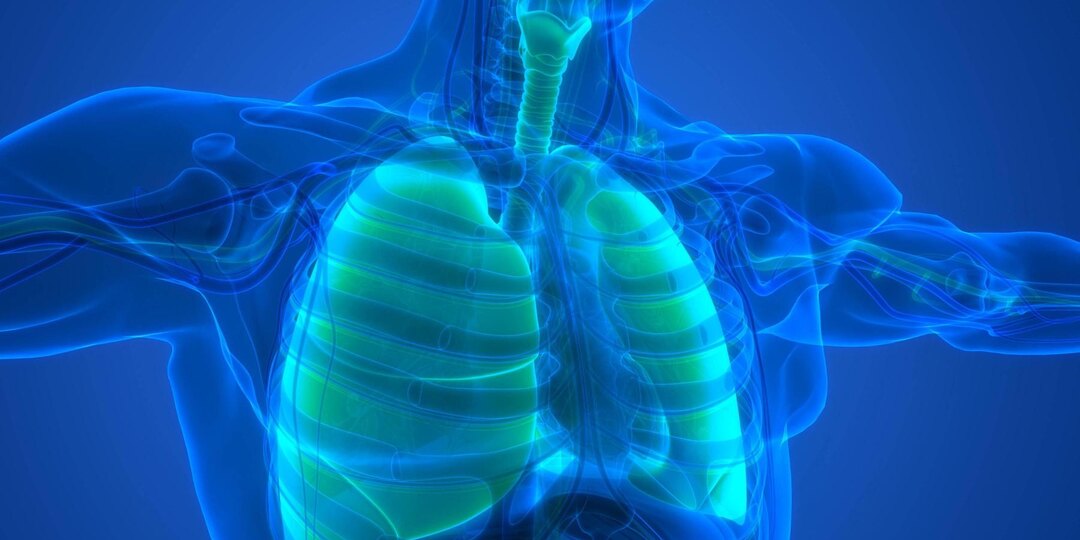 Пациент с тяжелым гриппом в США прожил 48 часов без лёгких