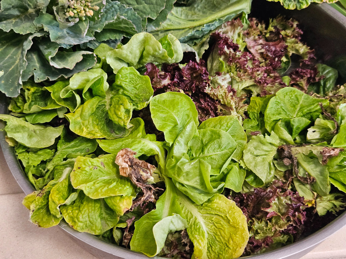 Зимние салаты