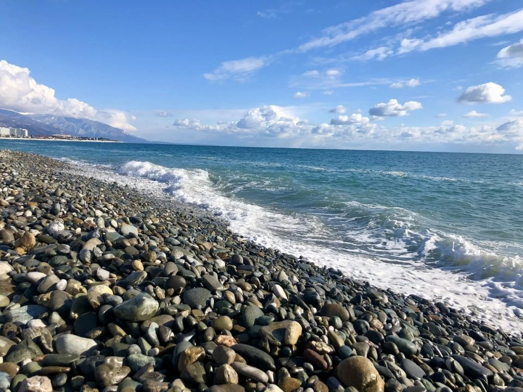   Фото Н.Николаевой Василий Шеин