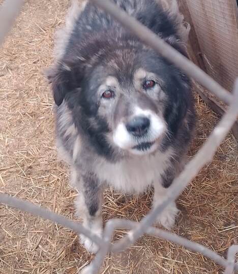 У нас хроническая ситуация 🆘️🆘️🆘️!!! Вчера мы крупы купили только на одну варку и ночью её уже сварили и съели! В наличии всего 1050 руб!